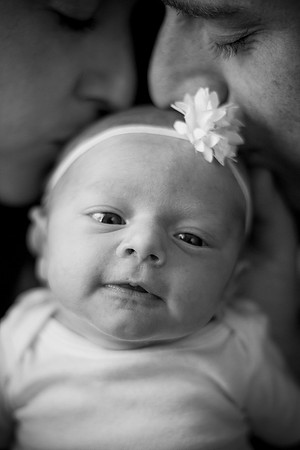 IMG_7950